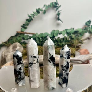 May include: Four polished crystal towers with white, black, and gray patterns. The crystals are displayed on a clear, circular stand with a natural green and brown background. The crystals vary in size and shape.
