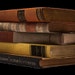 BooksbytheDozen