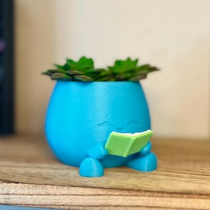 Vaso para livros | Vaso personalizado na cor da capa do livro | Decoração para prateleira com tema literário