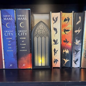 May include: A collection of books with colorful spines, including titles like "Crescent City" and "Fourth Wing." A decorative black, arched window-shaped light is placed among the books on a dark shelf. The books have dragon illustrations.