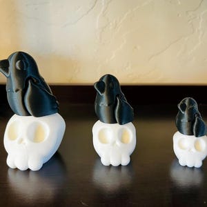 Articulated Raven/Crow Fidget Toy with Skull, Flexible Animal Figurine, Stress Relief Desk Toy, Cute Gift for Bird Lovers & Unique Occasions