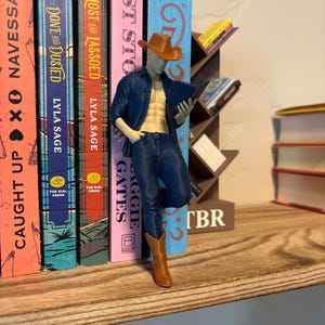 Könnte beinhalten: Eine Figur eines Cowboys, der ein Buch liest und sich an ein Bücherregal lehnt. Der Cowboy trägt einen braunen Hut, blaue Jeans, ein blaues Hemd und braune Stiefel. Bücher mit farbenfrohen Buchrücken sind sichtbar, darunter Titel wie "Dust Sto" und "Lost and Lassoed."