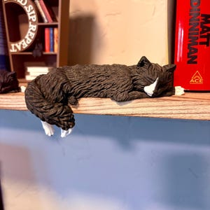 Puede incluir: Una figura de gato blanco y negro acostada sobre una estantería de madera. El gato tiene una mancha blanca en el pecho y las patas. Un pequeño estante con las palabras "READ SIP REPEAT" está en el fondo.