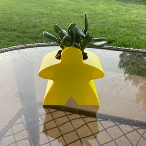 May include: A yellow plastic planter shaped like a person, with a small succulent plant growing inside.