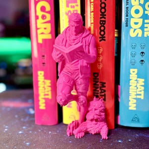 May include: A vibrant pink figurine of a person reading a book, with a small animal at its feet, stands before a row of colorful books. The books have titles and author names in yellow, red, and blue.