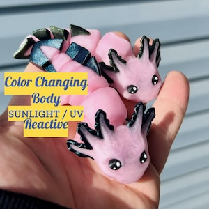 Axolotls Color Changing Fidgets Articulating Sensory Pet Color Changing Sunlight / UV Reactive Axolotl Unique Sensory 3D Printed