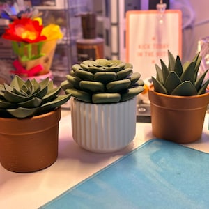 Può includere: Tre piante succulente artificiali in piccoli vasi. Due piante sono in vasi color terracotta, mentre una pianta centrale si trova in un vaso di ceramica bianco con scanalature verticali. Le succulente sono di colore verde scuro.