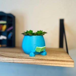 Op de afbeelding: Een blauwe, cartoonachtige plantenbak met een vetplant. De plantenbak houdt een groen boek vast en heeft kleine voetjes. De plantenbak staat op een houten plank. Een kleine, zwarte kast staat op de achtergrond.