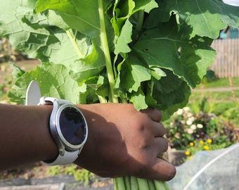 50 Giant Rape seeds  Vegetable seeds. (Zimbabwe variety) heirloom seed none GMO.****