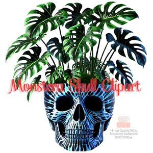 May include: A blue and white skull planter with a leafy green monstera plant growing out of the top. The skull has a patterned design and is a unique and decorative planter.