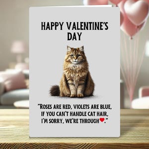 Funny Valentine’s Day Card for Cat Owners – &quot;Roses are red, violets are blue, if you can’t handle cat hair, I’m sorry, we’re through&quot;