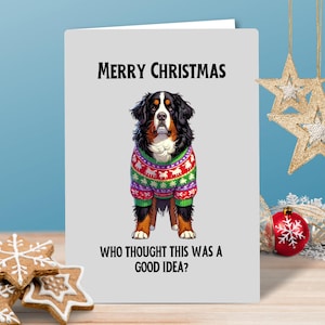 Berner Sennenhund Wer hat das für eine gute Idee gehalten? Weihnachtskarte