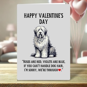 Divertente biglietto di San Valentino per i proprietari di cani: "Le rose sono rosse, le viole sono blu, se non riesci a gestire i peli del cane, mi dispiace, abbiamo finito"