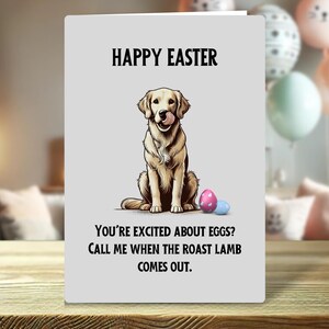 Paaskaart grappige hond – Golden Retriever-paaskaart – Paaskaart voor hondenliefhebbers – Sarcastische hondenhumor