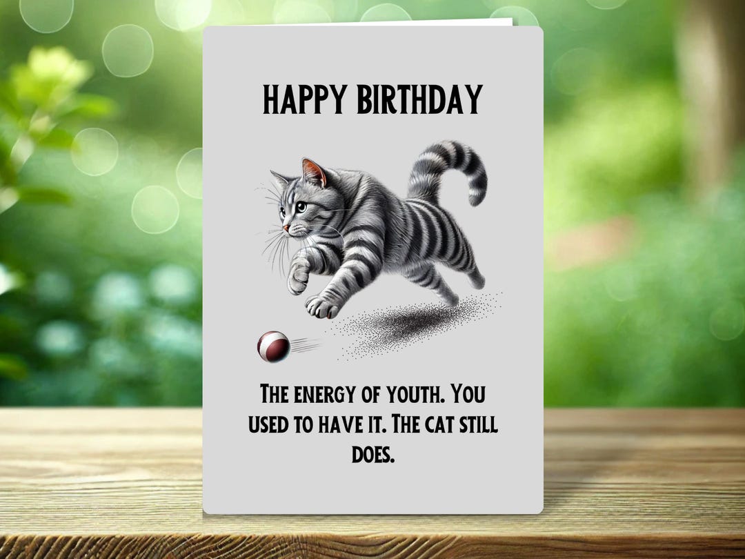 Funny Grey Tabby Cat Birthday Card: Humorous Cat Lover Gift - Etsy