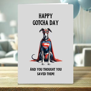 Divertente biglietto di auguri per il Gotcha Day: "Buon Gotcha Day, e pensavi di averli salvati!" - Per i proprietari di cani salvati o genitori di animali domestici adottati