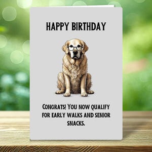 Divertente biglietto di auguri di compleanno con cane - Design Golden Retriever - Perfetto per gli amanti e i proprietari di cani