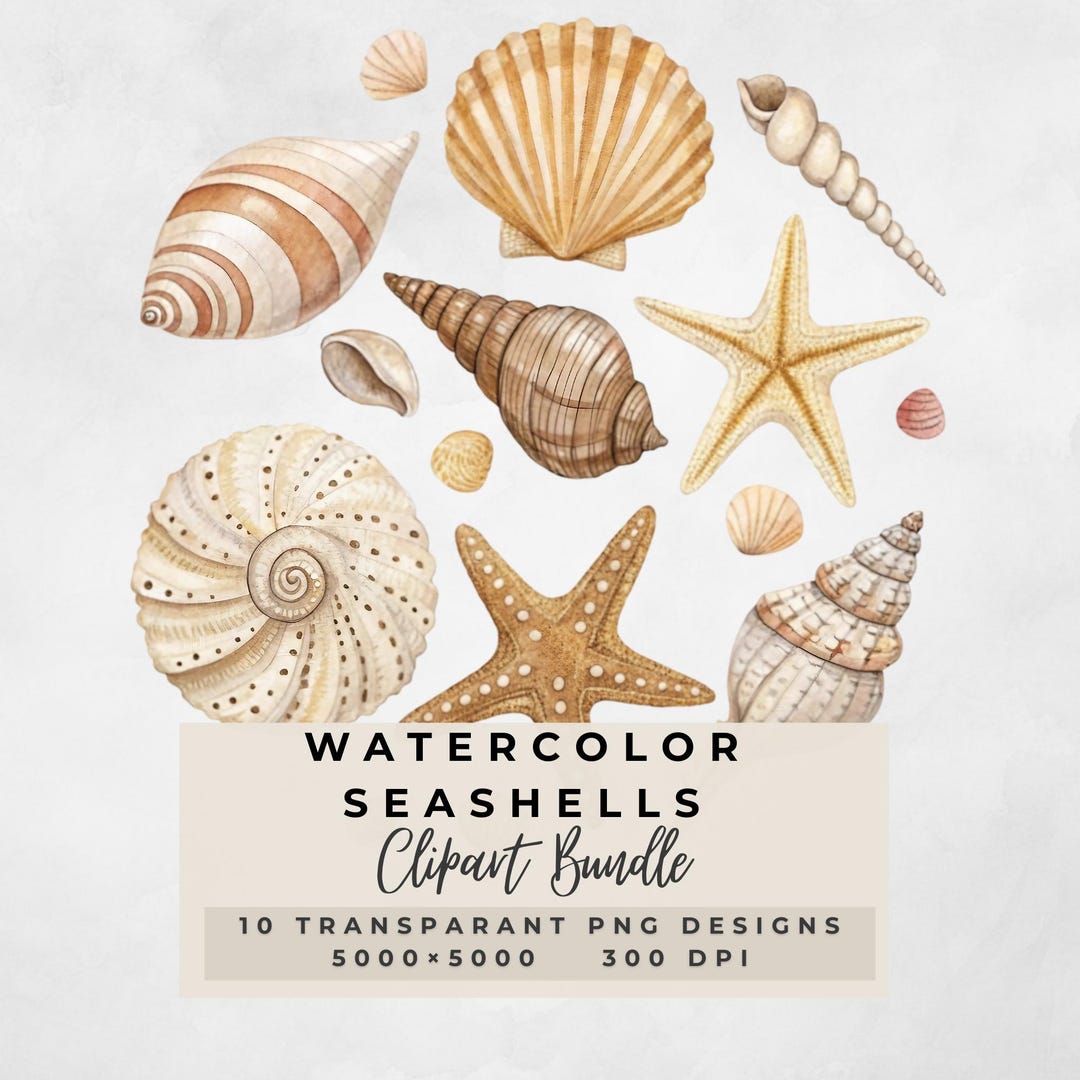 Watercolor Seashells Clipart Bundle , 10 Png Watercolor Sea Shells ...