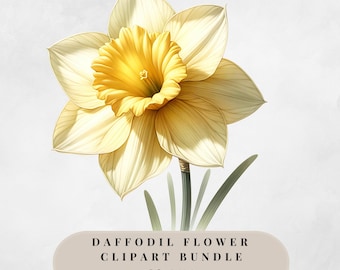 水仙の花の植物イラスト「黄色い水仙」PNG クリップアート デジタル