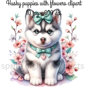 Chiots Husky avec fleurs clipart, 10 jpg aquarelles dessinées à la main, fichiers images numériques, illustration de chien, clipart mural imprimable