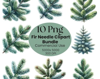 Grannål Clipart Bundle, 10 transparenta Png, digital nedladdning, botanisk tallgren sublimering, vintergrön grönska design