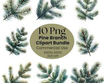 Tallgren Clipart-paket, 10 transparenta Png, digital nedladdning, grannålssublimering, vintergröna vintergrönsaksdesign