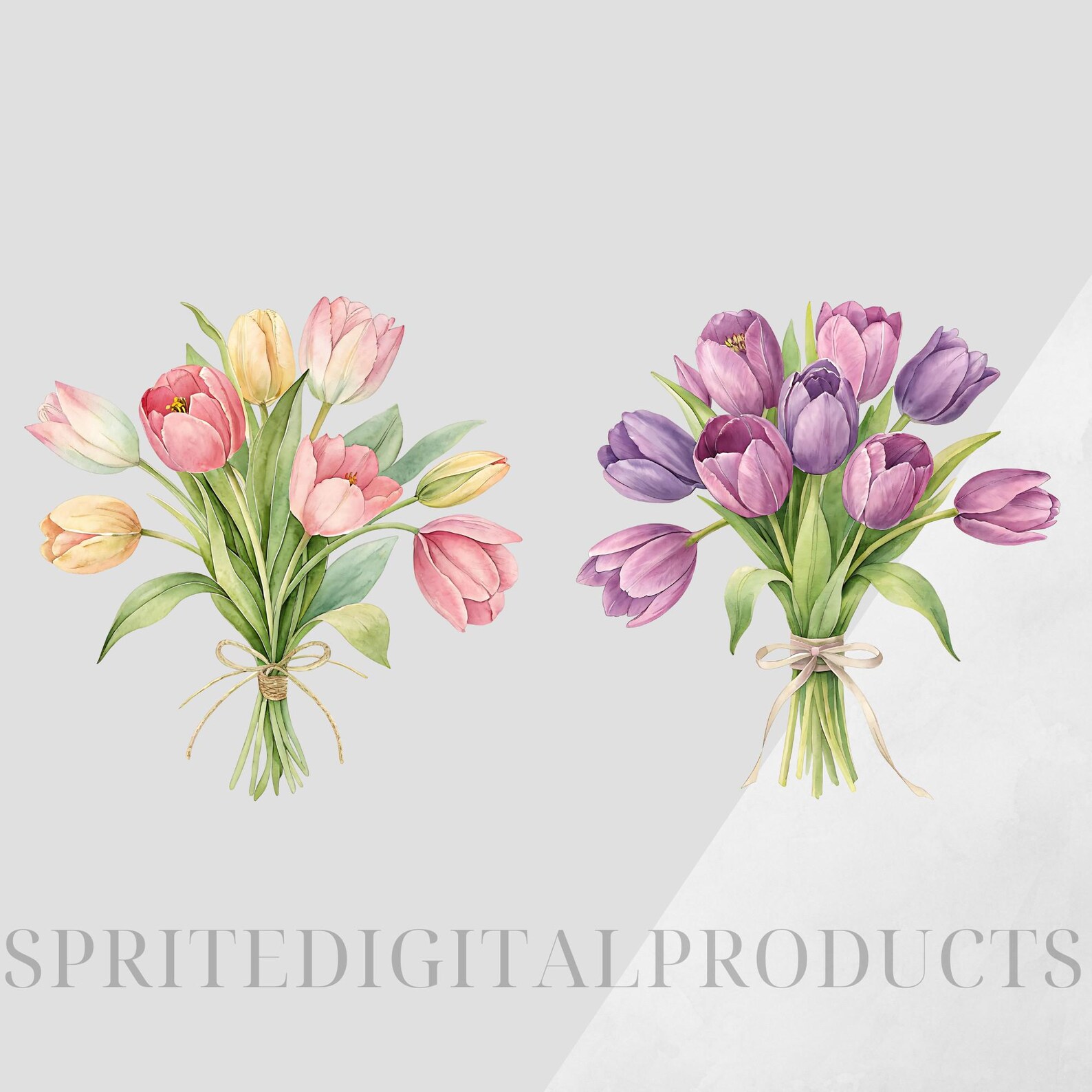 Watercolor Tulip Bouquet Clipart Bundle , 10 Transparent Png , Digital ...