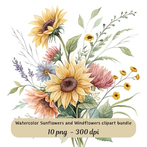 Pacote de clipart de girassóis e flores silvestres em aquarela, 10 arquivos PNG de flores para artesanato, convites e decoração, clipart de sublimação png