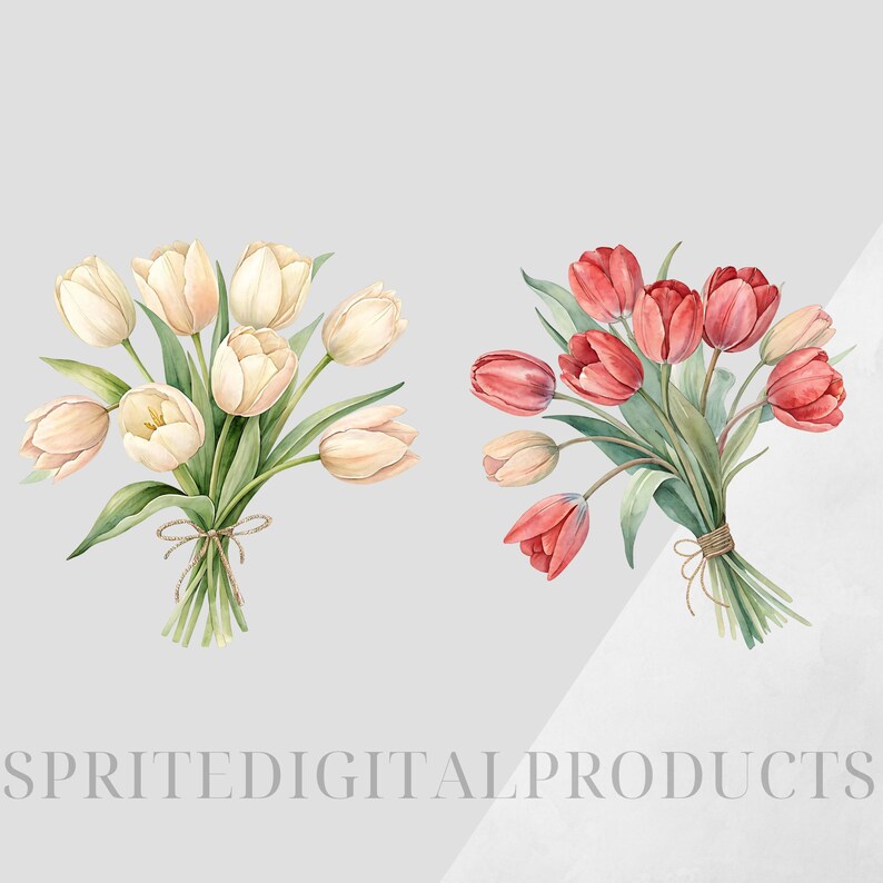 Watercolor Tulip Bouquet Clipart Bundle , 10 Transparent Png , Digital ...