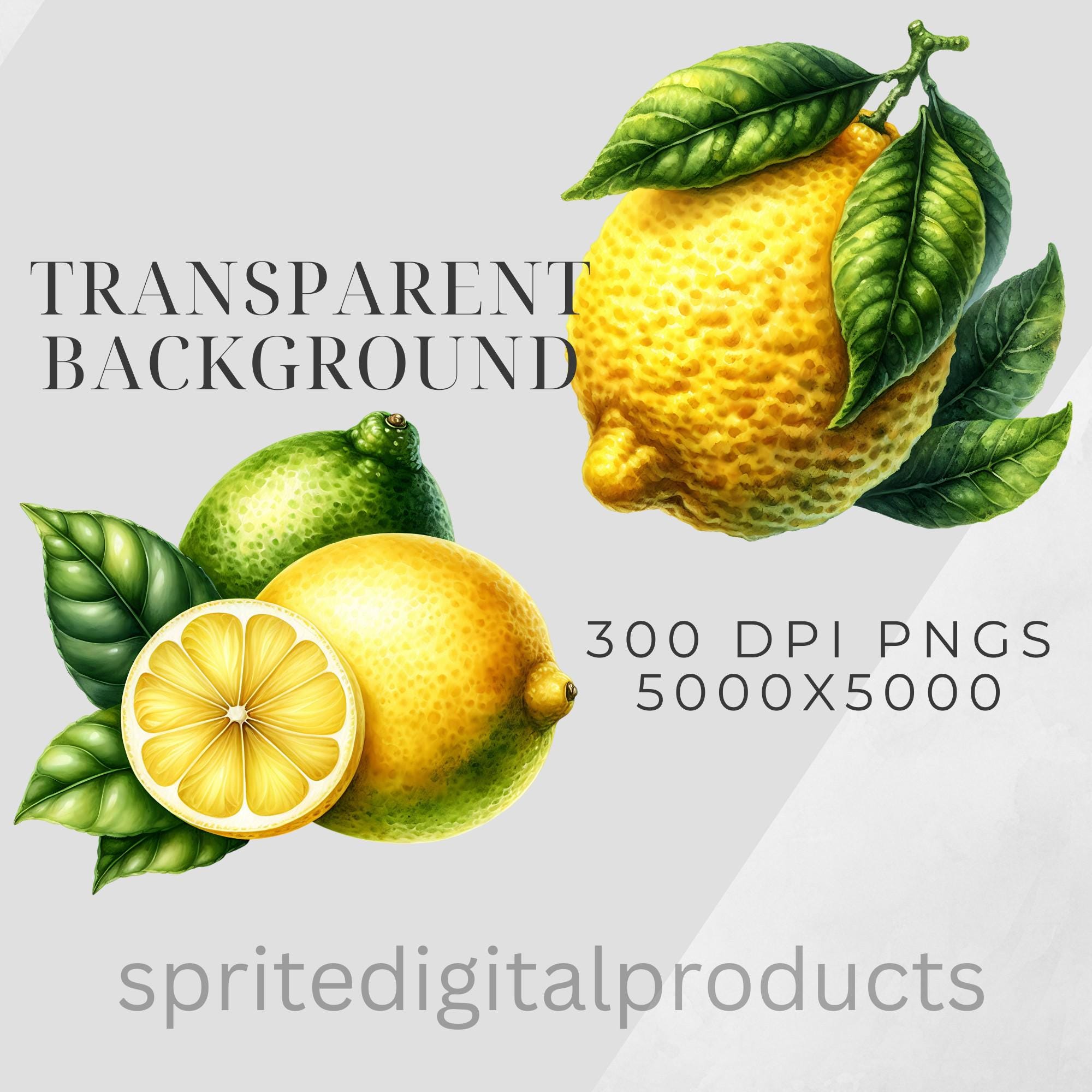 Realistic Lemon Clipart Bundle , 10 Transparent Png , Digital Download ...