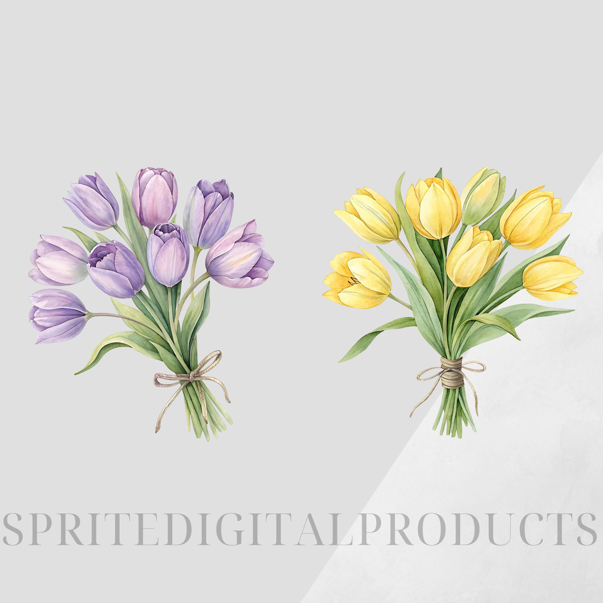 Watercolor Tulip Bouquet Clipart Bundle , 10 Transparent Png , Digital ...