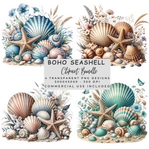Boho Seashell Clipart Bundle , 4 Transparent Png , Digital Download , Turquoise Shell And Butterfly Sublimation , Nautical Coastel Design