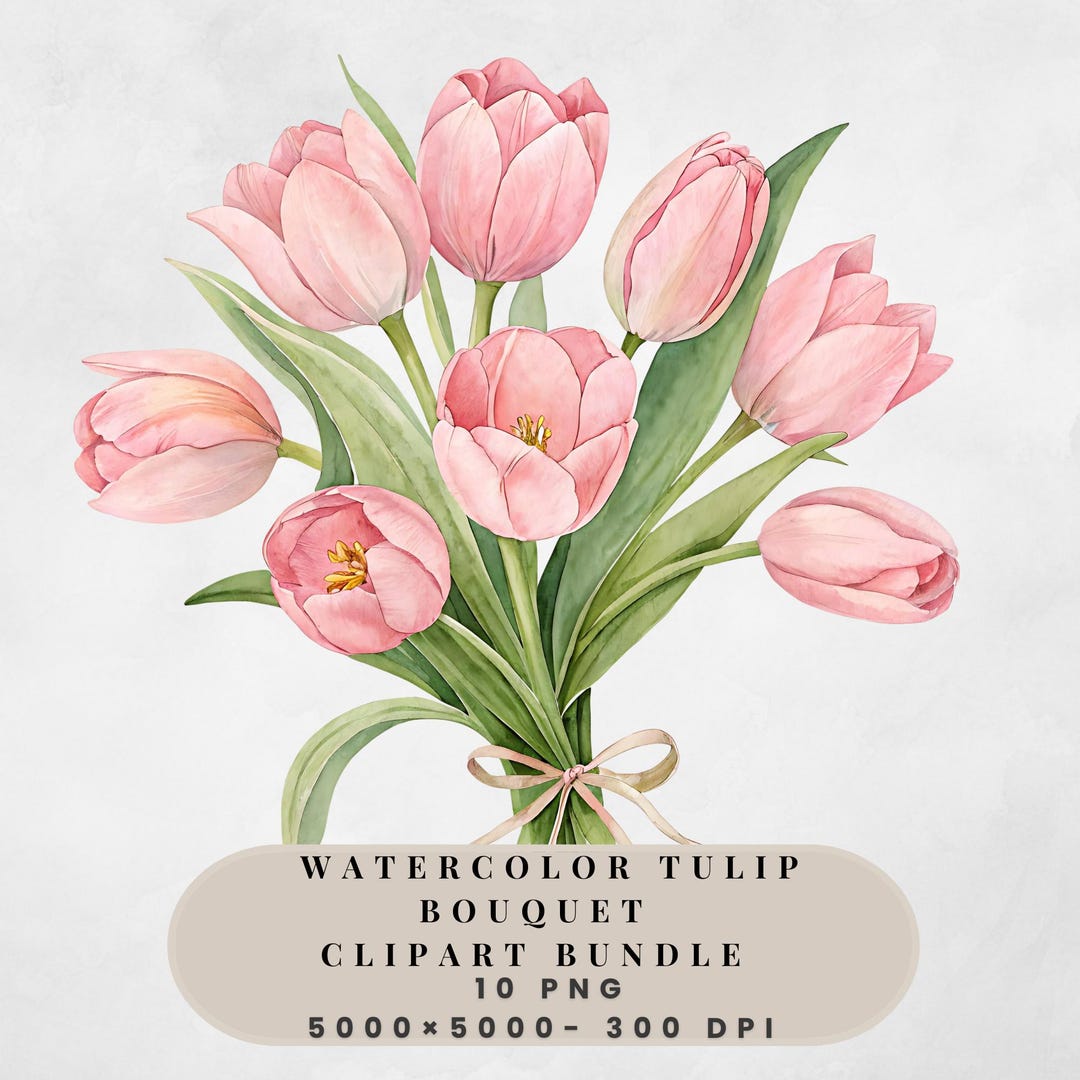 Watercolor Tulip Bouquet Clipart Bundle , 10 Transparent Png , Digital ...