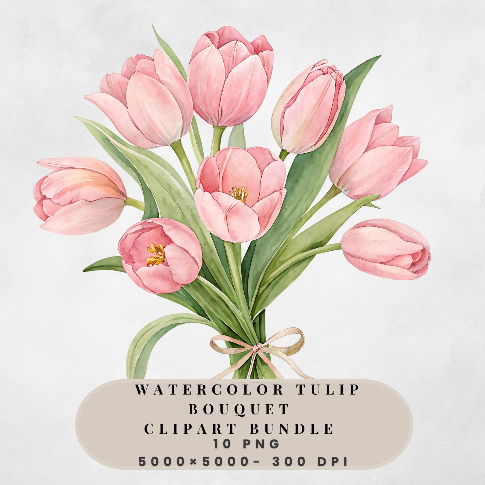 Watercolor Tulip Bouquet Clipart Bundle , 10 Transparent Png , Digital ...