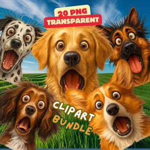 Pacchetto di clipart di cani stravaganti, 20 PNG e JPG isolati - Cani con il pelo spettinato dei cartoni animati, illustrazioni divertenti di animali domestici per magliette, tazze, decorazioni murali