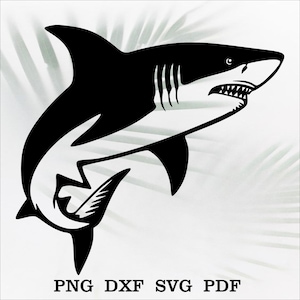 Archivo de corte SVG de tiburón, depredador SVG, pez marino, archivo de siluetas DXF, archivos para Cricut, imágenes prediseñadas, vinilo de pescador, cara de tiburón, gran tiburón blanco