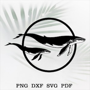 Blauwal SVG DXF, Wal schneide die Datei für Laser, dxf für cnc Datei, Wand Dekor, Schneidedatei für Cricut, Silhouette Aufkleber, Ozean ClipArt Vinyl