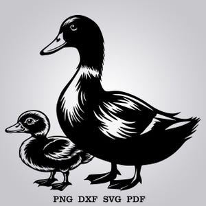 May include: A black and white illustration of a large duck and a small duck. The larger duck is standing with its head turned to the side, while the smaller duck is standing with its head facing forward.