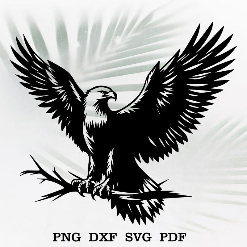 Wedge Tail Eagle Art - Etsy Australia