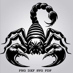 Scorpion SVG,Scorpion Clipart,Scorpion Png,Scorpio SVG File,Scorpion Vector, Cut Files For Silhouette,Instant Download