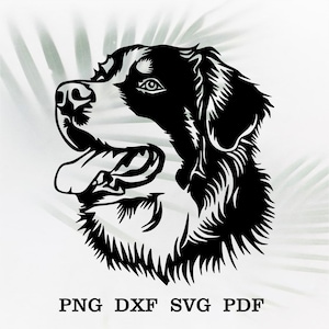 Berner Berg SVG-Dateien für Cricut, Hund Clipart Cut-Datei, Download Vektor-Porträt, Vinyl-Shirt-Design, Dxf-Datei für Laser-Cnc, PNG, Pdf