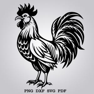 May include: Black and white silhouette of a rooster with a large, detailed comb and wattle. The rooster is standing with its tail feathers spread out behind it.