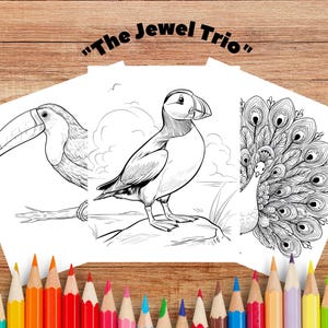 以下が含まれることがあります： オオハシ、ニシツノメドリ、クジャクの、鳥の細密な線画が描かれた3枚の塗り絵。ページの上部には「The Jewel Trio」というフレーズが書かれています。さまざまな色の色鉛筆のコレクションが下部に配置されています。