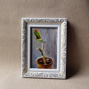Aglaonema. Pintura a óleo original. Obra de arte de fabricação exclusiva. Pintura realista. Miniatura. Arte. Presentes. Arte botânica.