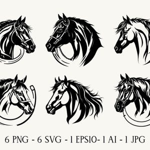 Horse Head Silhouette: SVG, PNG, Cricut Ready Vector Art (Digital Download)