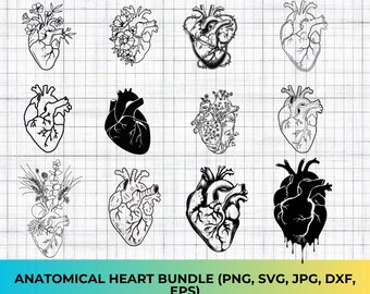 Floral anatomische hart SVG-bundel: menselijk hart vector, illustraties (digitale download)