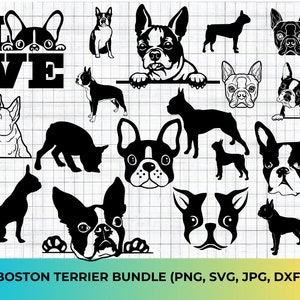 Boston Terrier SVG Bundle: Dog Clipart for Cricut (Digital Download)