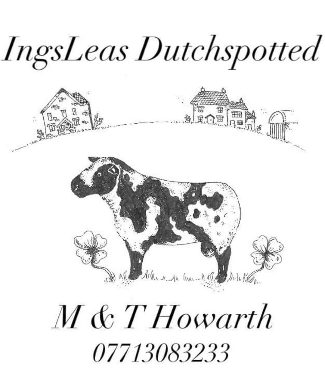 Dutch Spotted Felting Wool Etsy