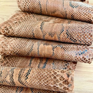 Véritable peau de serpent en python, 2,80 m, motif marron naturel et noir - Cuir exotique pour créations artisanales