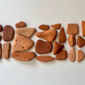 以下が含まれることがあります： 様々な形と大きさの、滑らかでテラコッタ色の小さな石20個の集まり